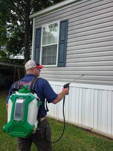 Affordable Professional Termite And Pest Control Client Provided (4)